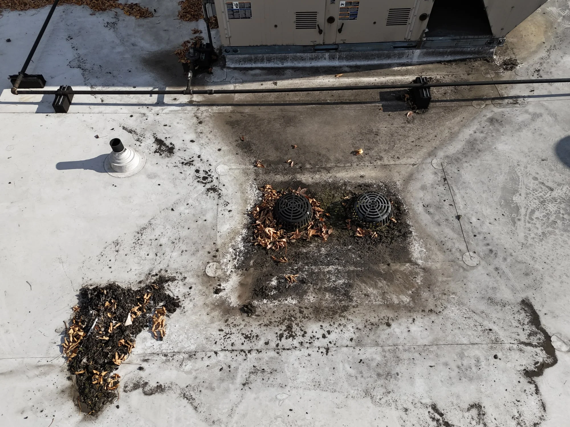 Two roof drains buried in dead leaves on a white flat roof.