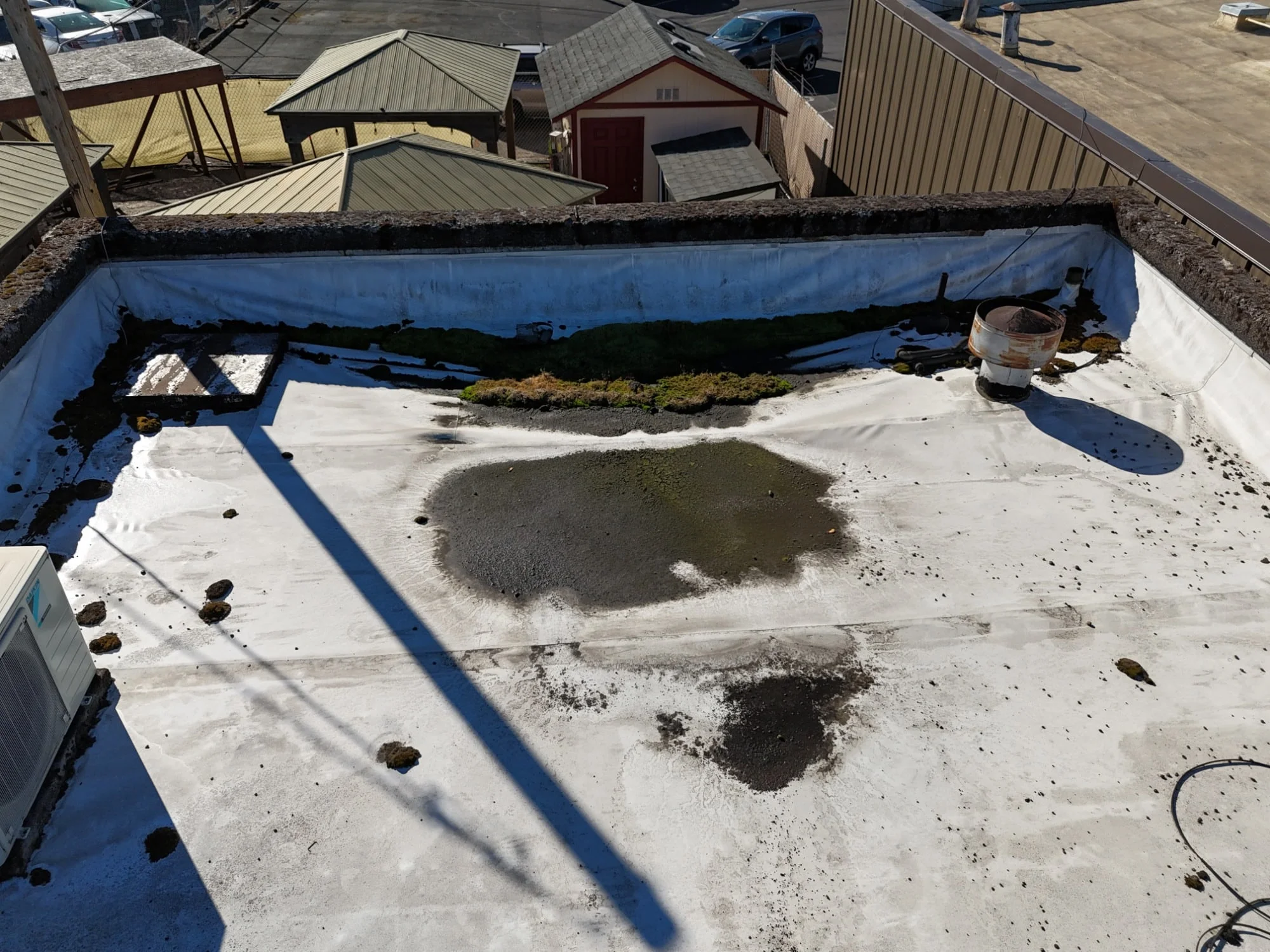 Moss along a parapet and a puddle of silt on a flat roof.