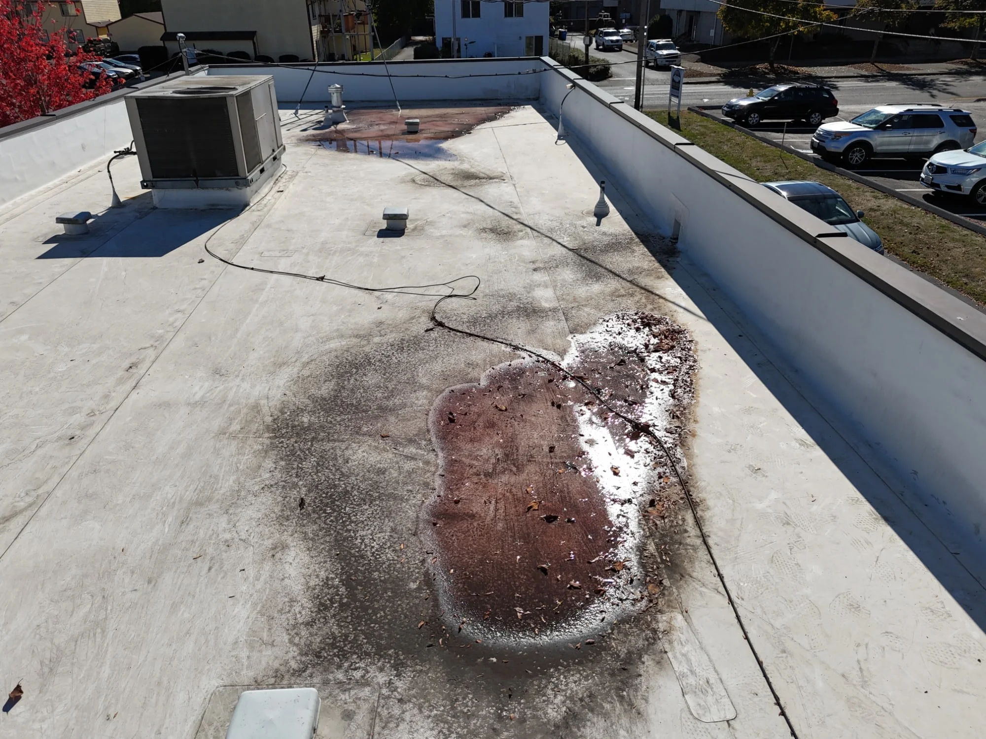A puddle full of leaves on a white flat roof.