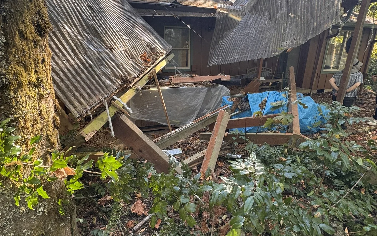 Broken patio-cover beams and posts lying in the brush beside a moss-covered tree trunk, with collapsed corrugated panels and a blue tarp behind them and the house beyond