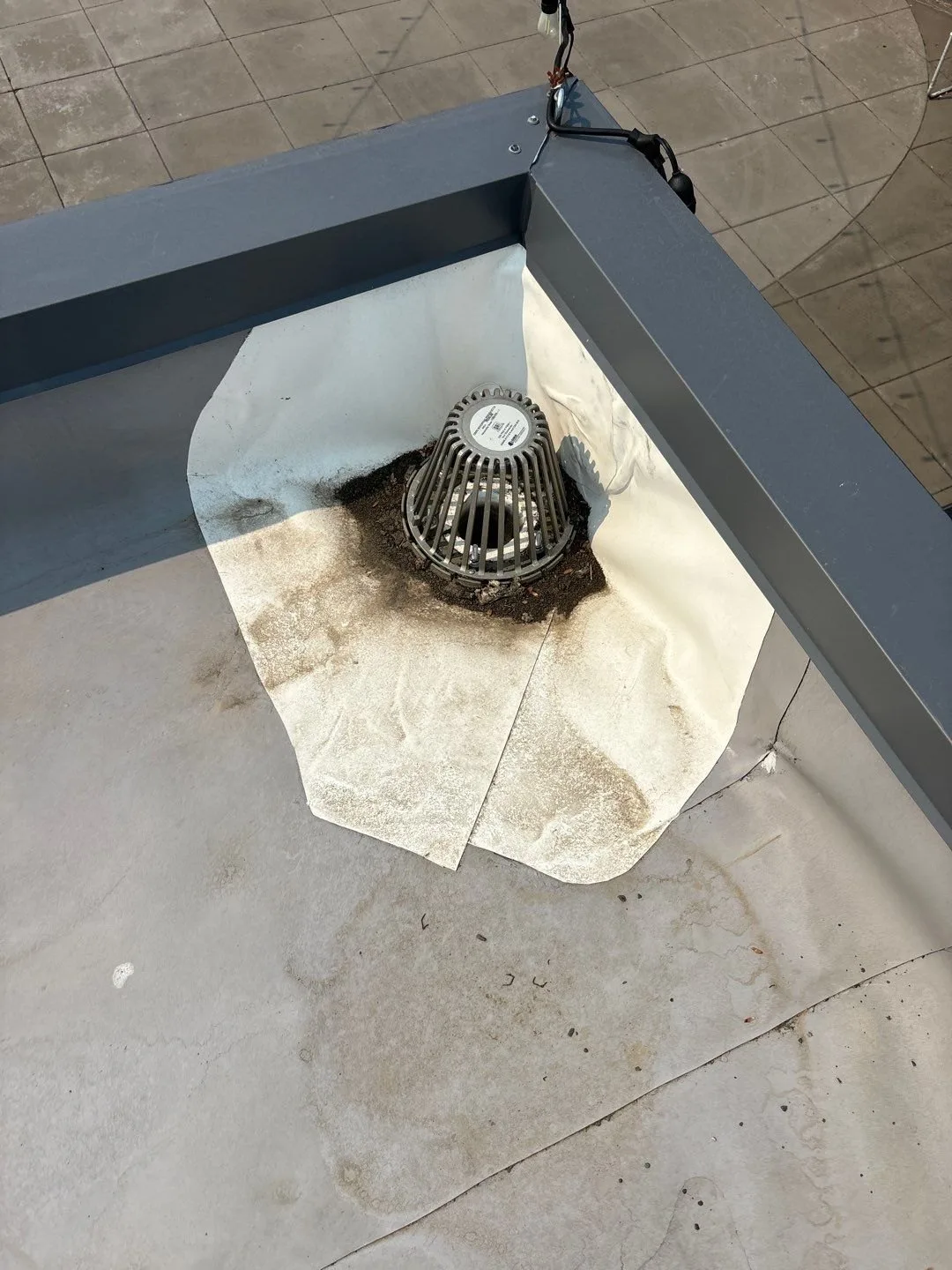 A metal strainer dome over a corner drain on a white single-ply roof, surrounded by a ring of dark leaf litter and grit, with brown water stains on the membrane around it