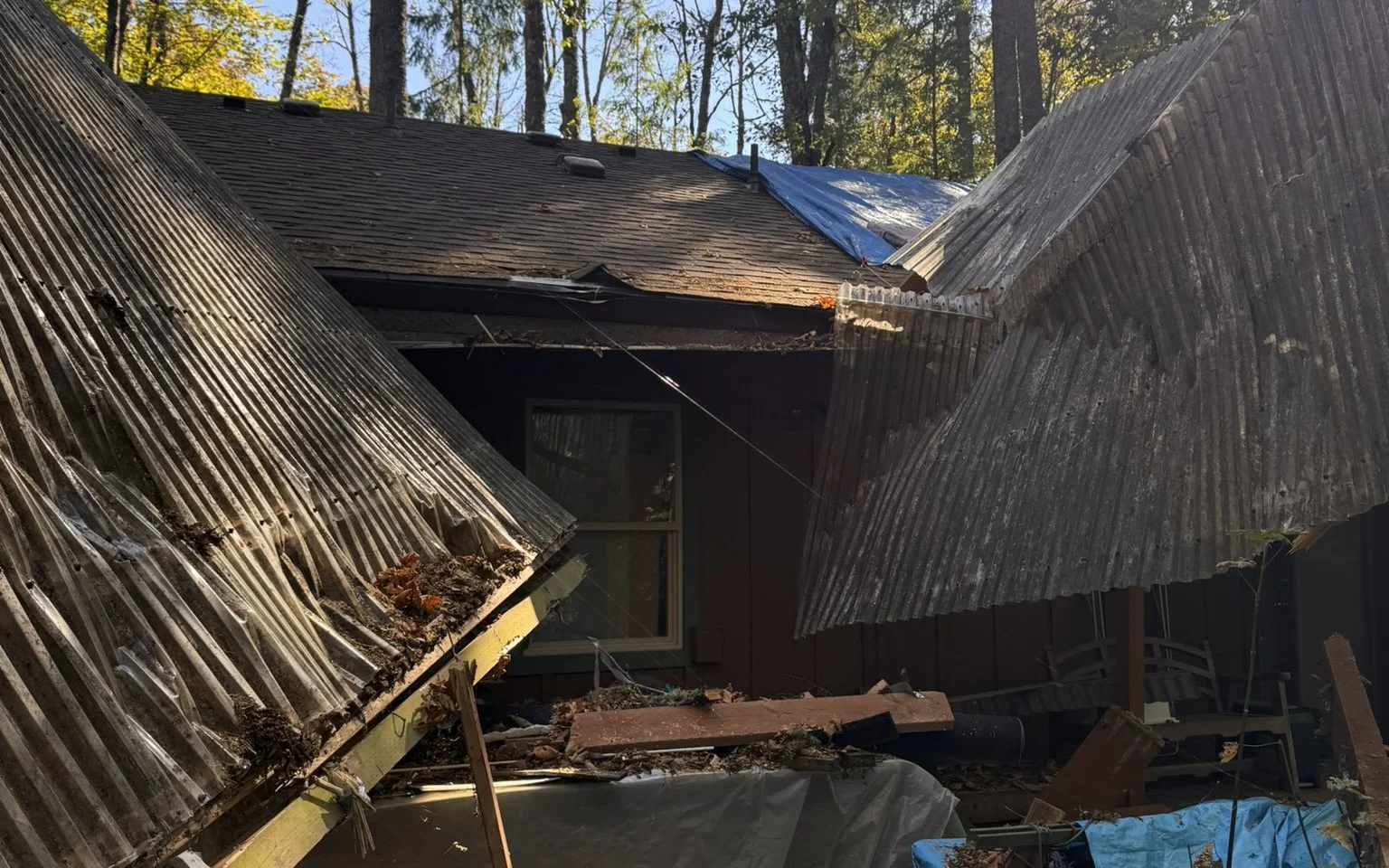 The back of a brown wood-sided house in a stand of tall firs, with a blue tarp across part of its shingle roof and two corrugated patio-cover panels collapsed onto a broken deck in front of it