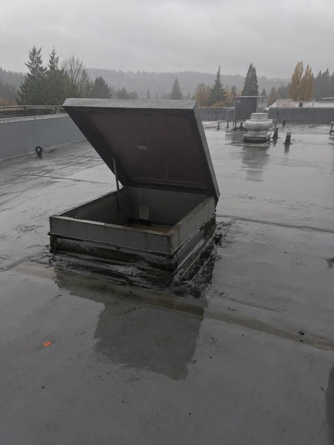 An open roof hatch on a wet, gray flat roof. The lid is propped up on a metal arm, and the curb around the hatch is dark with old patches. An exhaust fan and a rooftop unit stand behind it, with evergreen trees and low cloud beyond the parapet.