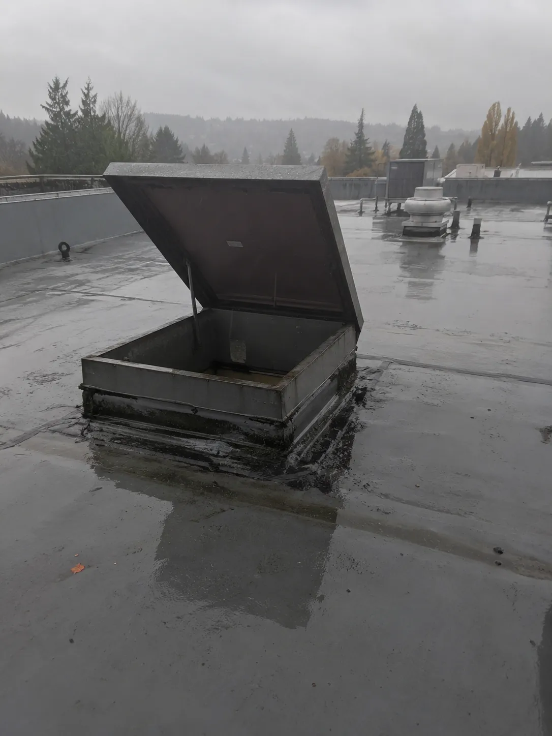 An open roof hatch on a wet, gray flat roof. The lid is propped up on a metal arm, and the curb around the hatch is dark with old patches. An exhaust fan and a rooftop unit stand behind it, with evergreen trees and low cloud beyond the parapet.