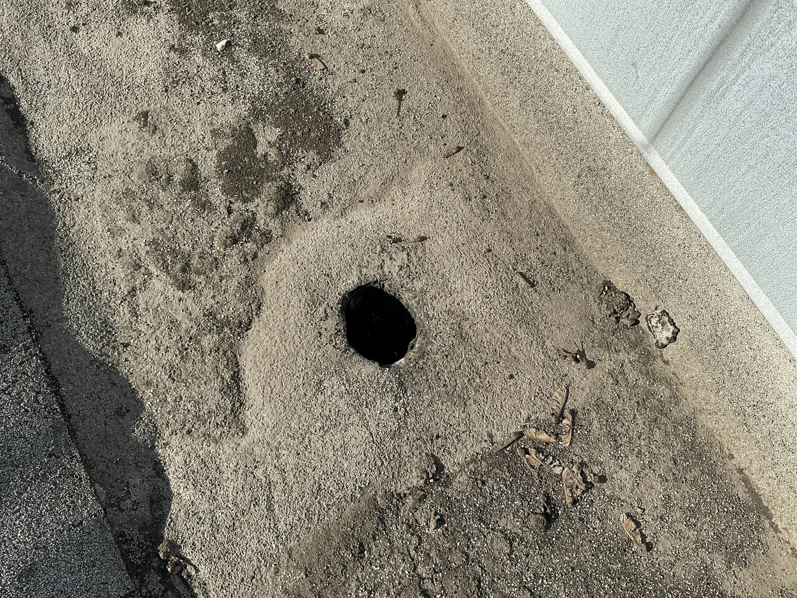 An open roof drain with no strainer on a granulated cap sheet roof, with leaves, grit, and dark water stains spread around the built-up flashing at the drain