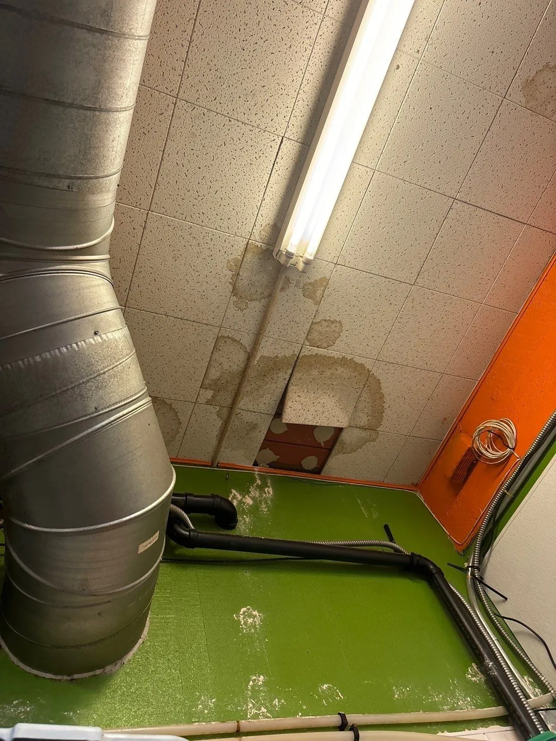 A suspended ceiling with brown water rings spread across several tiles around a fluorescent light, and one tile pushed up out of the grid to show a gap above, next to a large metal duct