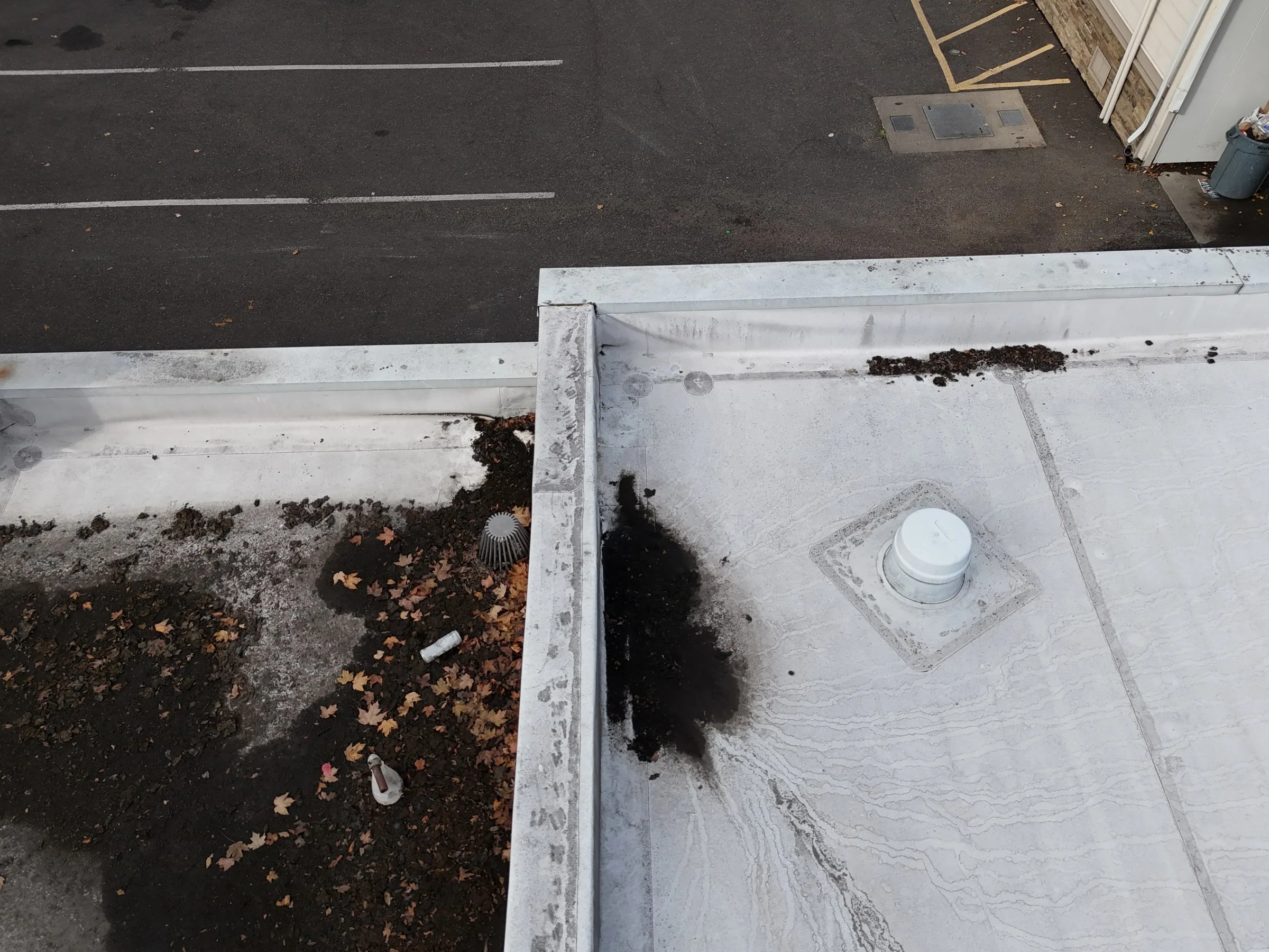 Leaves, needles, and dirt piled against the walls of a white flat roof beside a vent, with more debris on the roof next door.