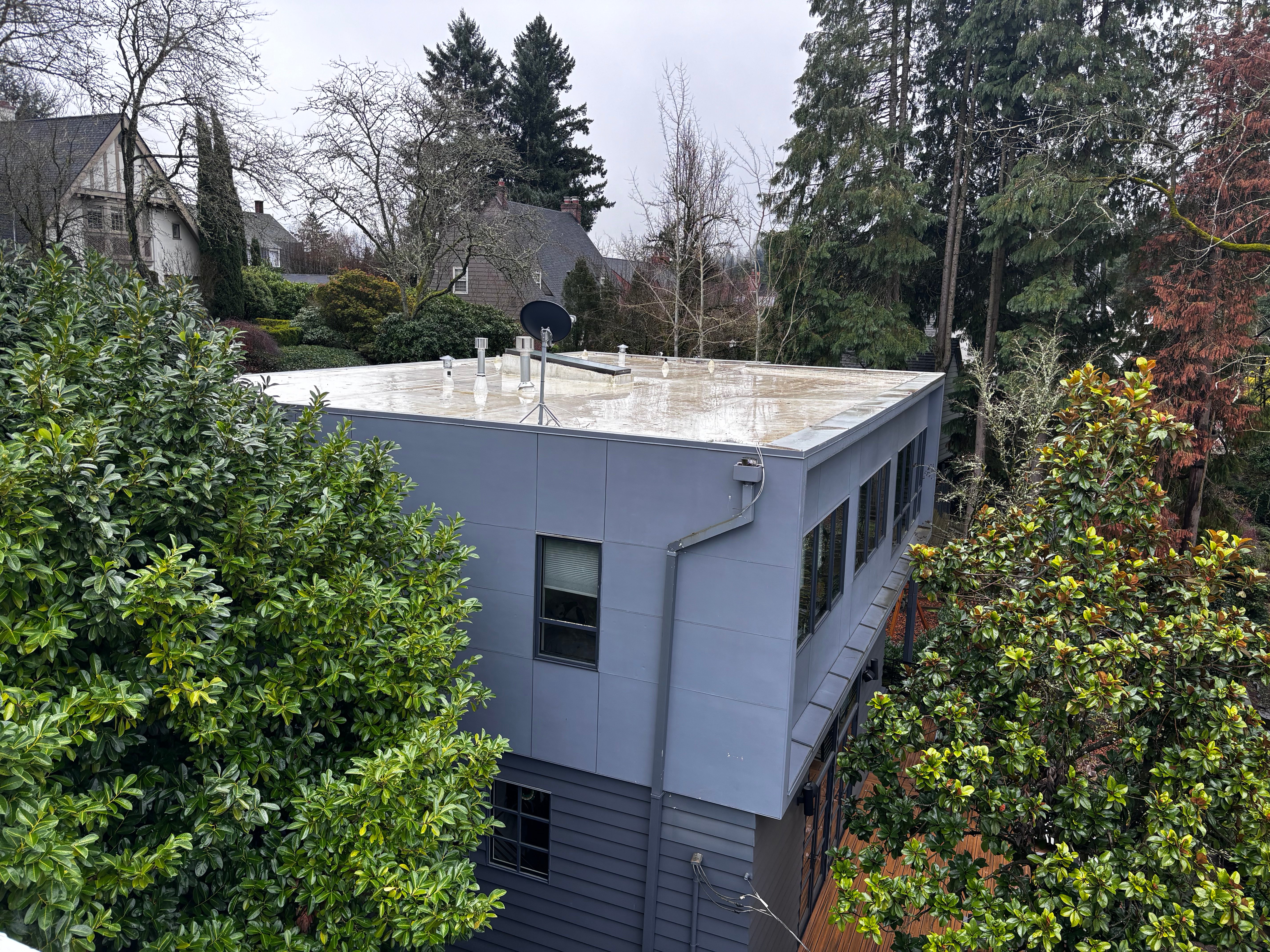 A flat-roofed building surrounded by mature trees