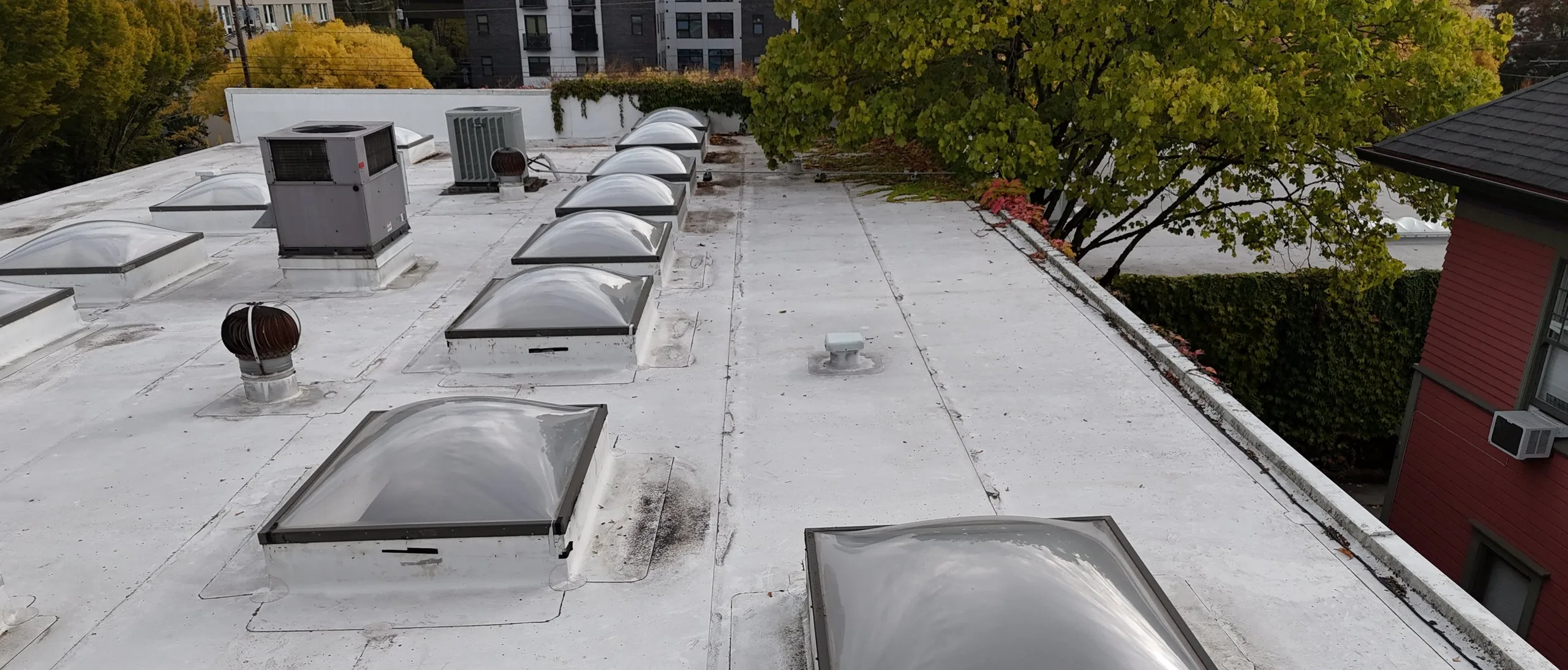 A clean white flat roof with a row of dome skylights and two rooftop units, seen from a drone, under a tree turning for fall.
