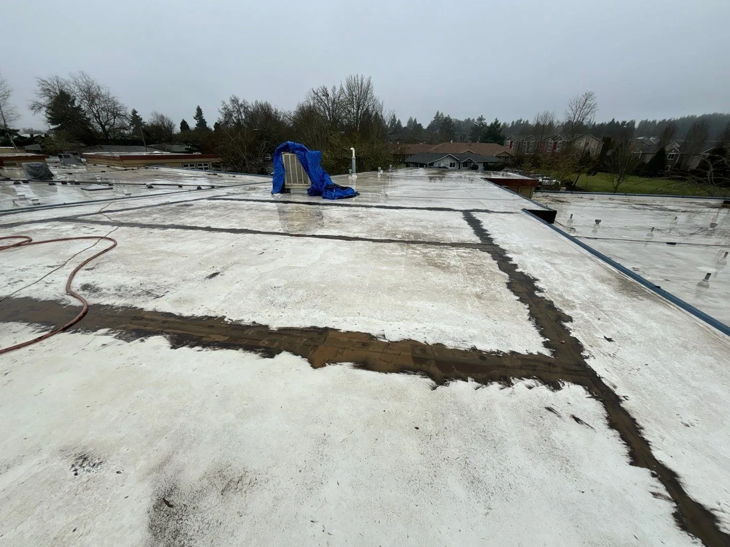 An older white single-ply roof, wet after rain, with wide dark bands of mastic brushed along its seams in a grid, a hose lying across it and a tarp-covered rooftop unit in the distance