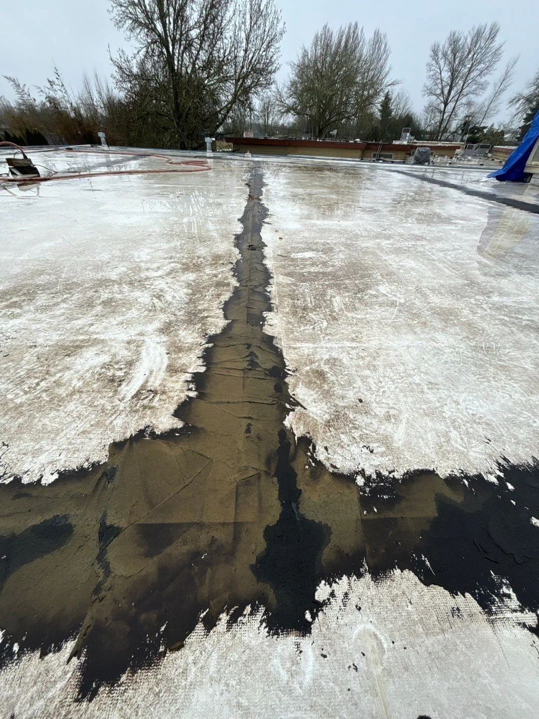 A wet white flat roof with a long strip of black mastic smeared down one seam and a wider band of it spread across the seam where it meets another, with bare trees behind