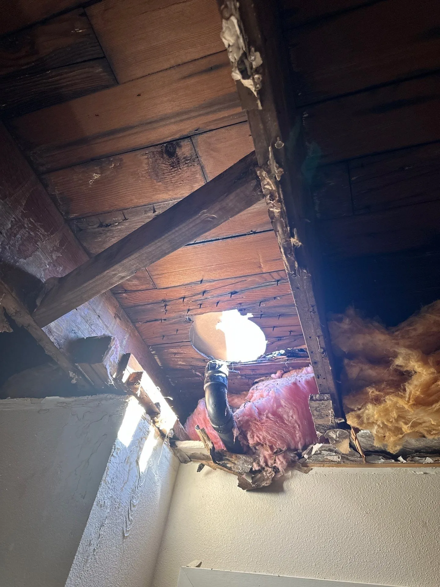 Looking straight up through an opened ceiling at dark, water-stained wood roof boards, with daylight shining through a round hole in the boards where a black pipe runs up, and pink and yellow insulation hanging out of the ceiling