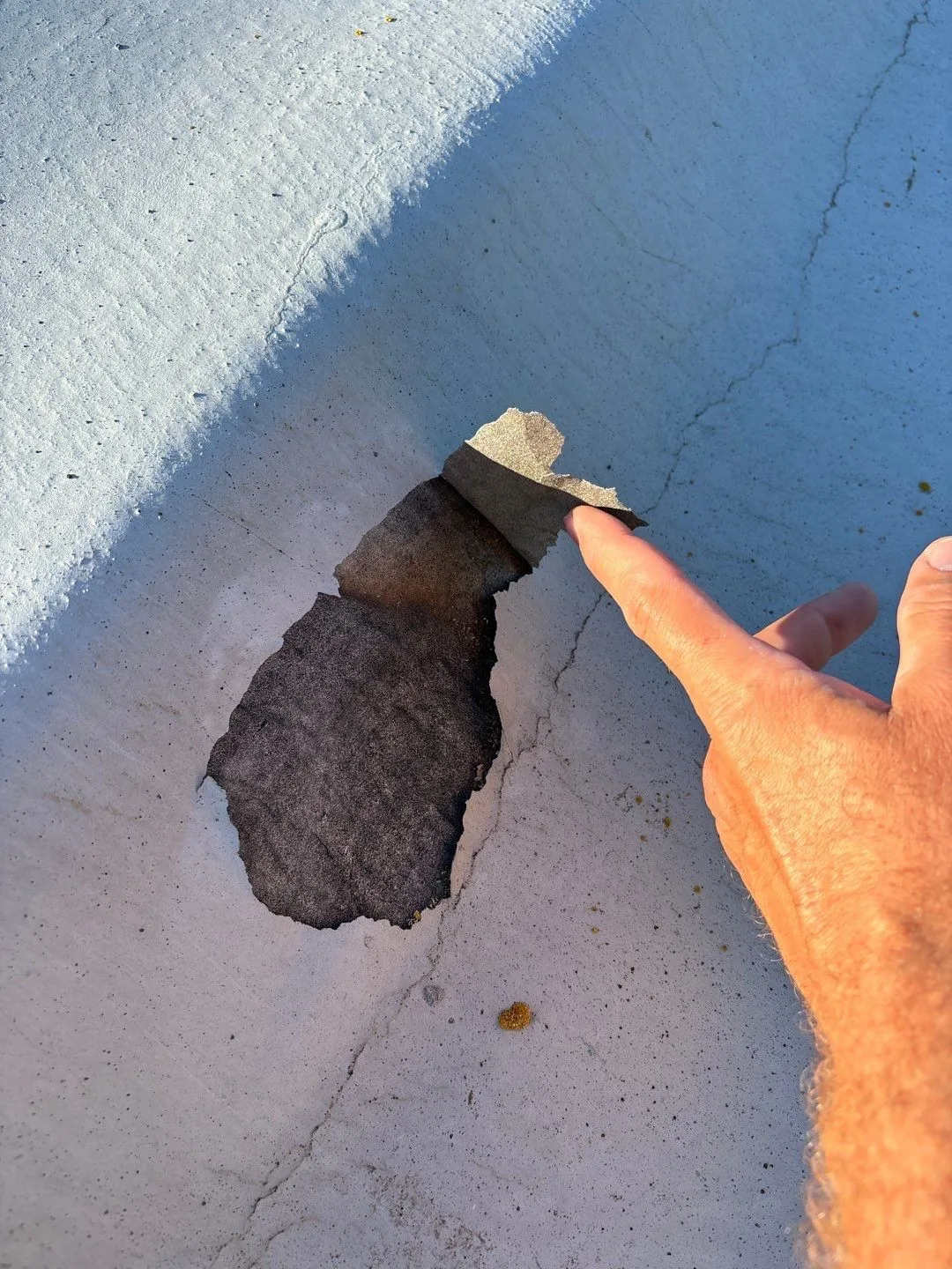A hand lifting a peeled flap of gray roof surface off a white-coated roof, showing a dark patch underneath and a crack running through the coating