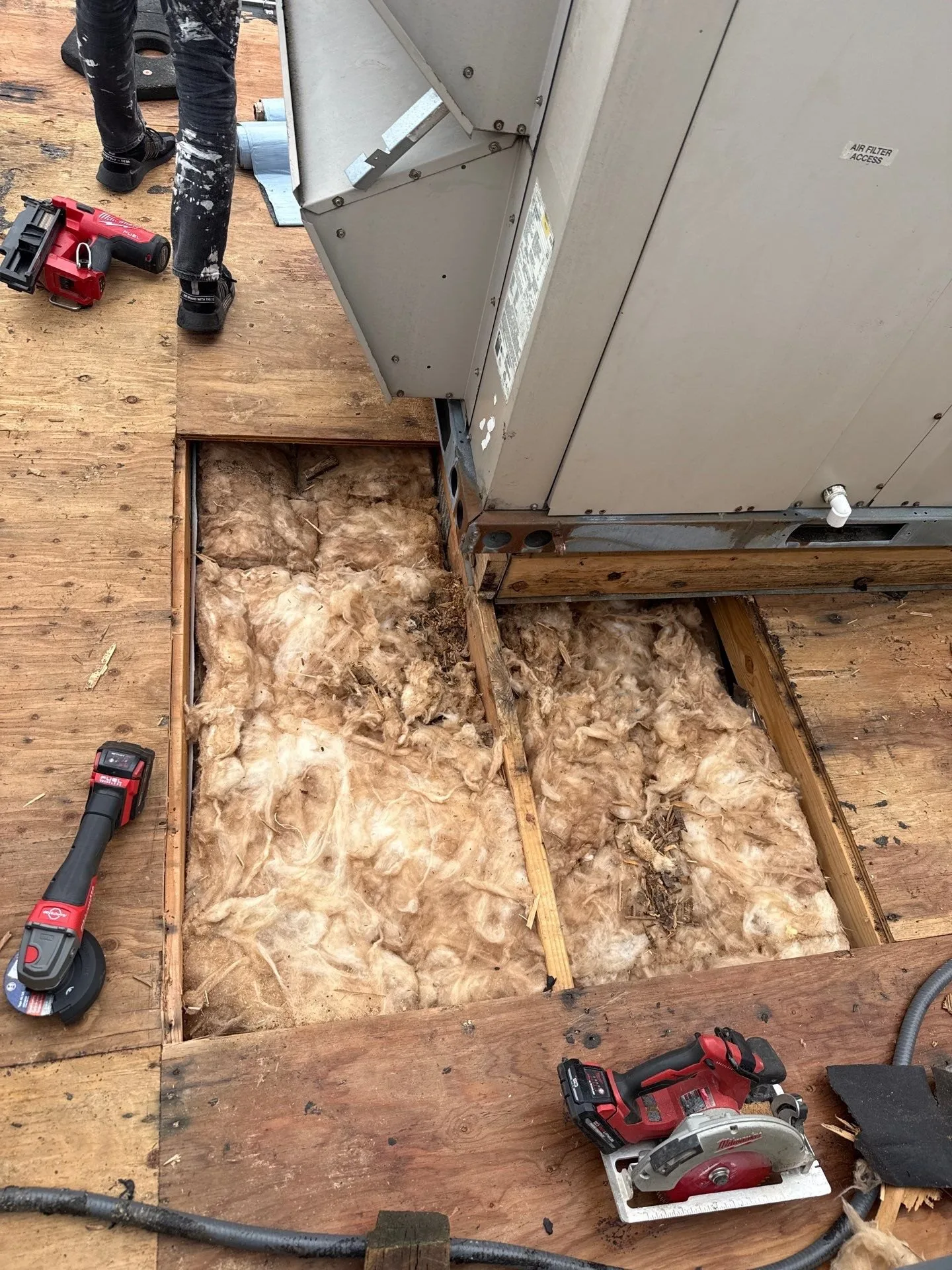 A flat roof torn down to the plywood deck beside a rooftop HVAC unit, with two sections of deck cut out to show wet, stained fiberglass insulation between the joists and pieces of rotted wood, and power tools on the deck around the opening