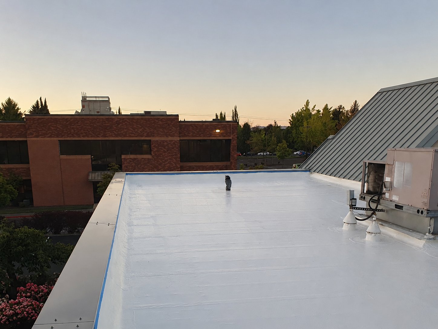 A freshly resealed white flat roof at golden hour beside an occupied brick office building