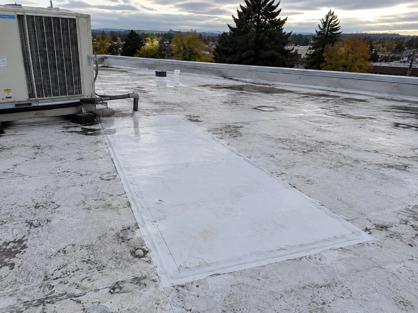 An aged white single-ply flat roof with round fastener plates showing through, and a long rectangle of newer, cleaner white membrane running out from a rooftop HVAC unit, its edges lapped onto the old roof
