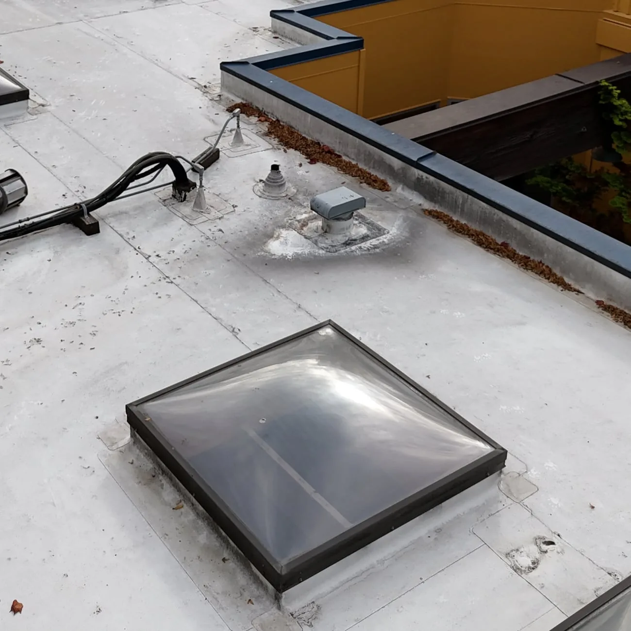 A dome skylight on its curb on a white flat roof, with vents and pipes beyond it.