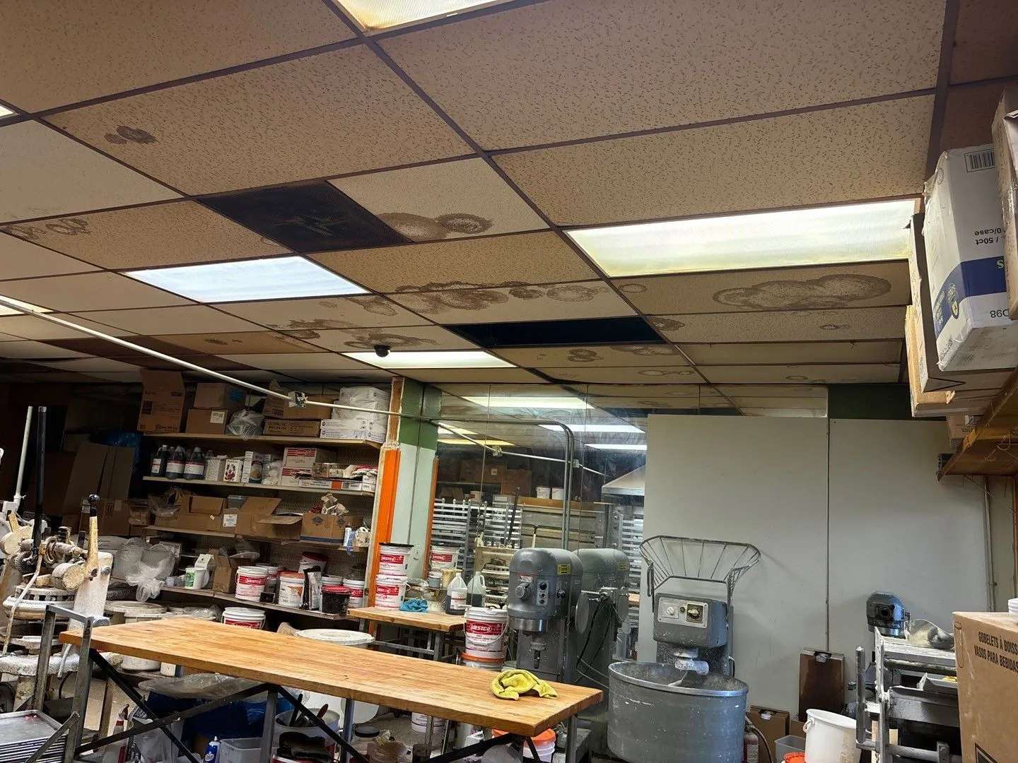 A bakery back room with mixers, work tables and shelves of supplies, under a suspended ceiling where most of the tiles carry brown water stains and two tiles are missing