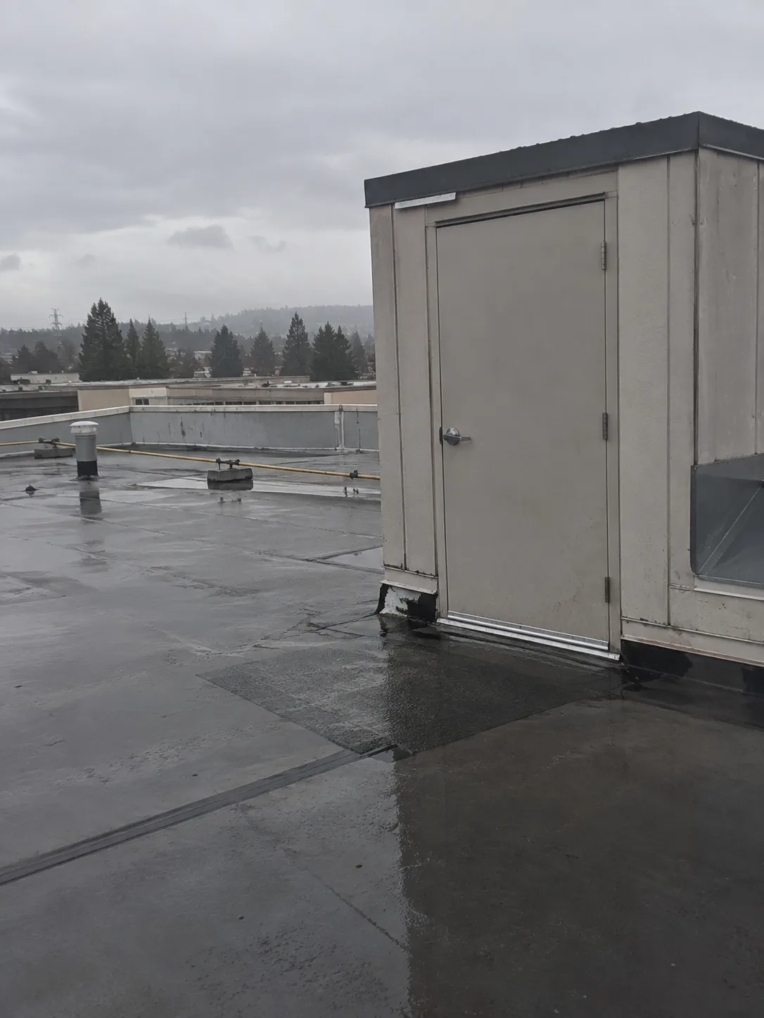 A beige metal penthouse on a wet flat roof with a steel door and a lever handle. A parapet, a vent pipe, and a yellow gas line run along the roof behind it.