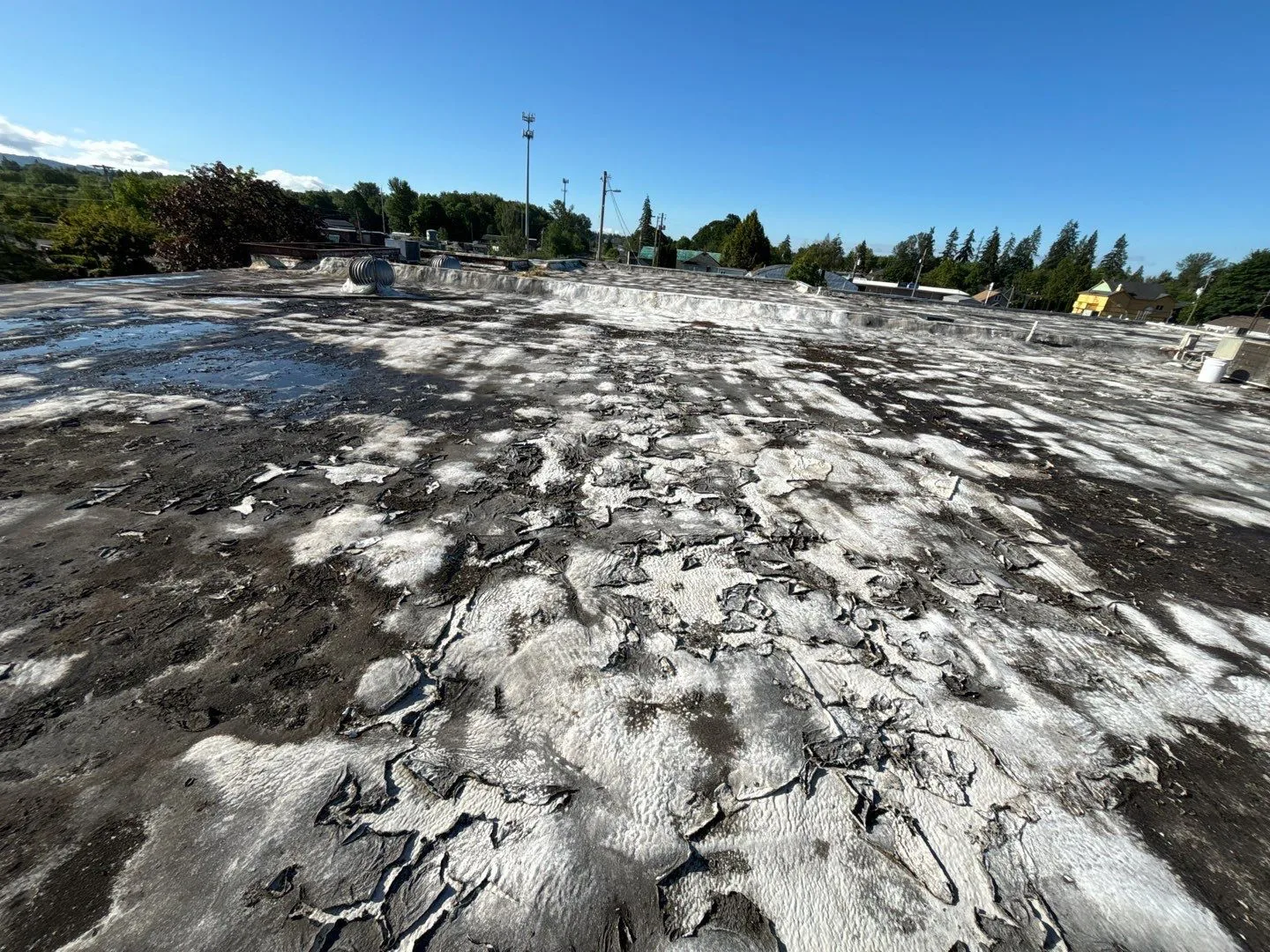 A dark roof with widespread peeling surface material and areas of standing water