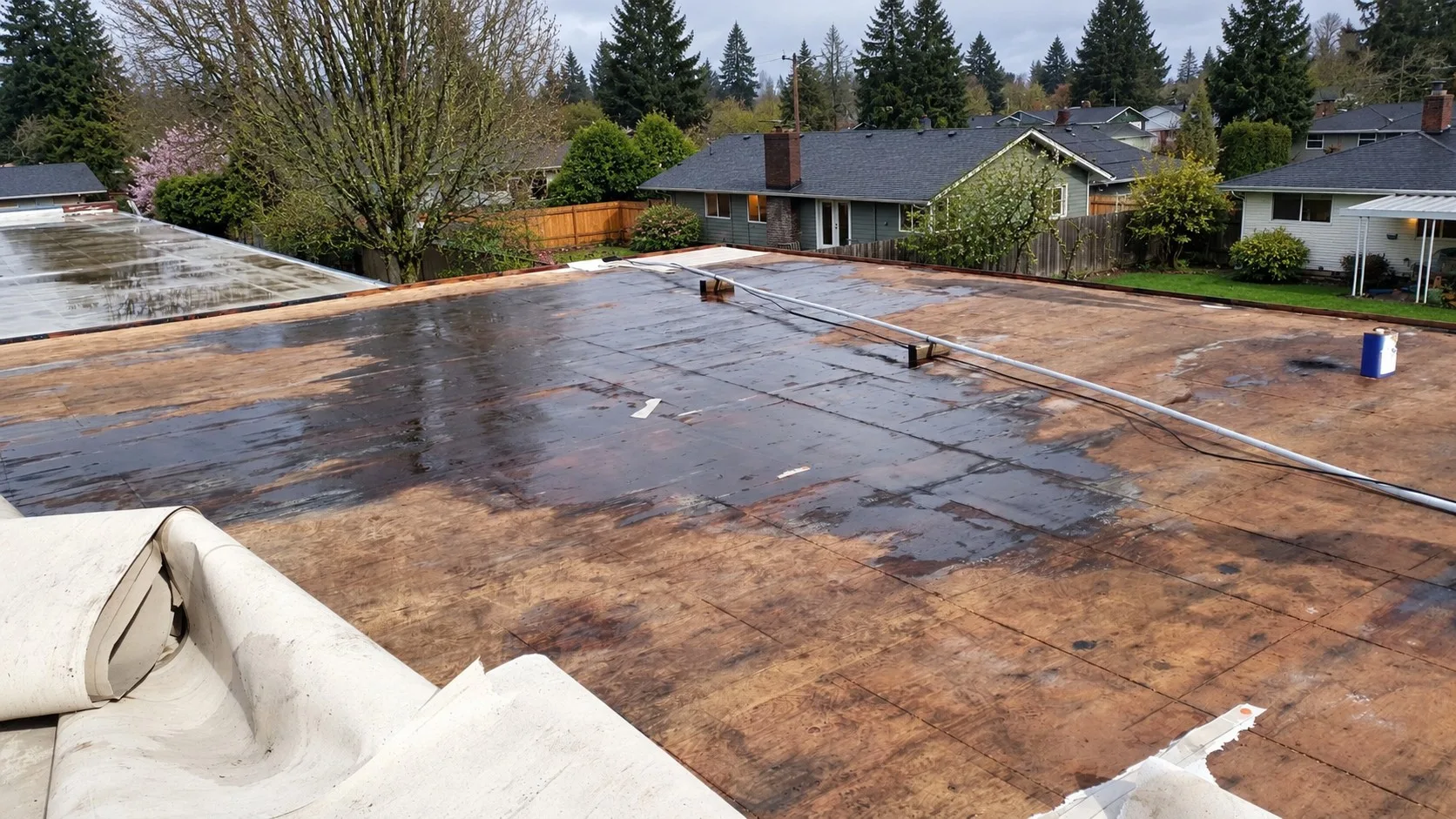 A flat roof stripped down to its plywood deck, the old white membrane rolled back in the foreground, with large dark wet patches and water stains spread across the plywood
